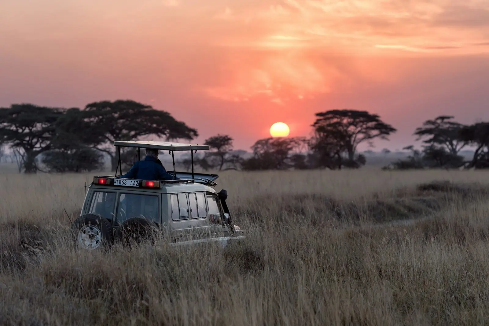 Book your safari
