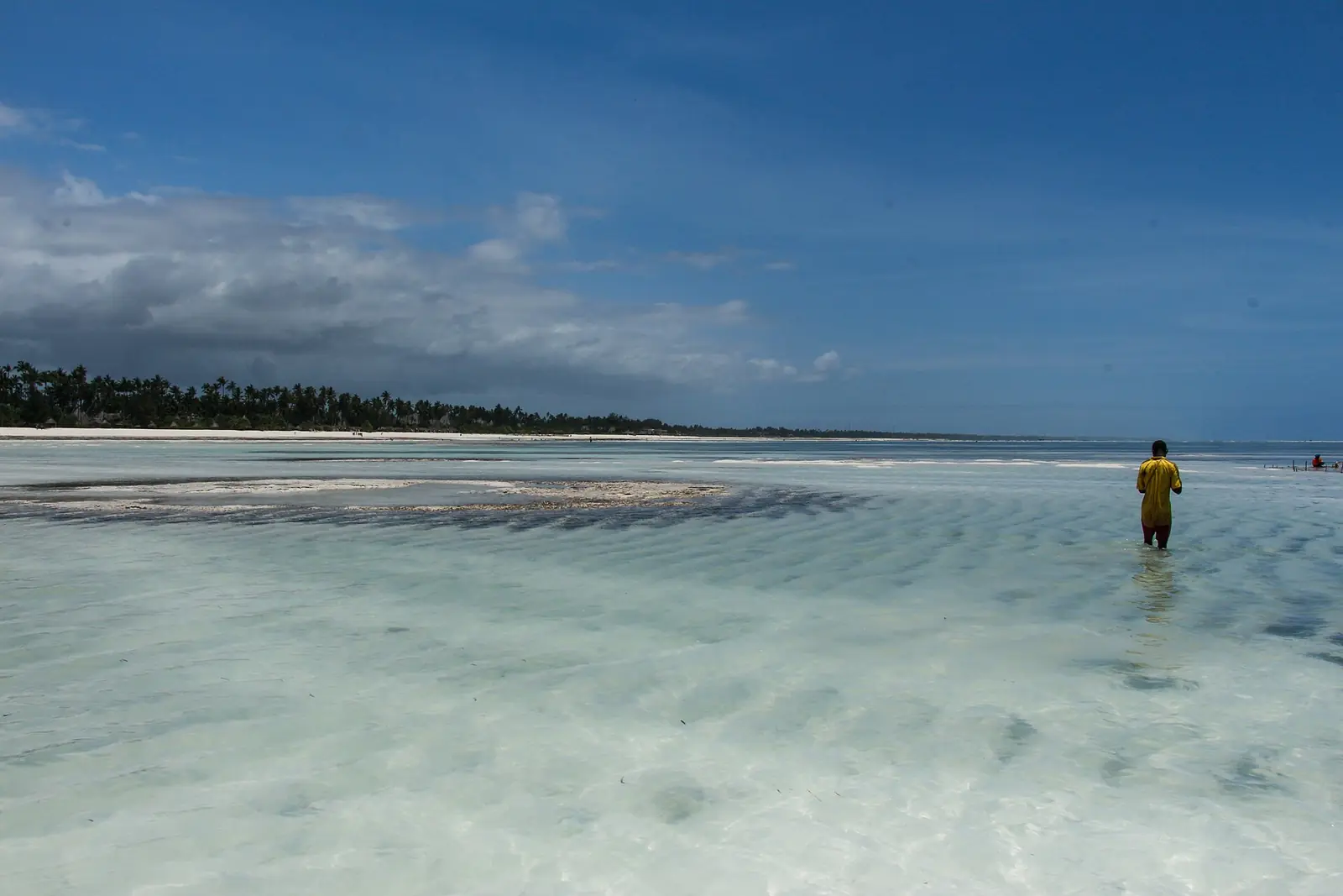 The shoreline at a Zanzibar beach