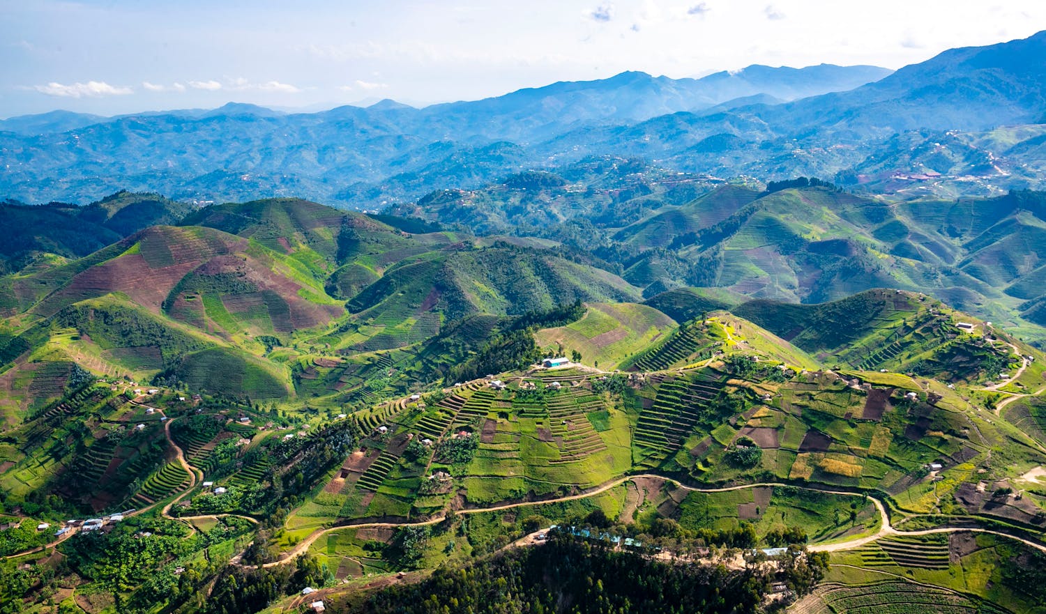 pexels-rwanda-lens-2151341471-31835038