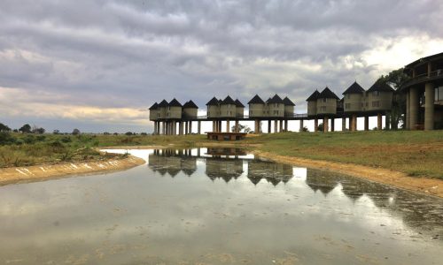 saltlick-lodge-kenya-safari-rfz61hqvhjo3qfewzqezqenhbw6f2krao8igdpyym0