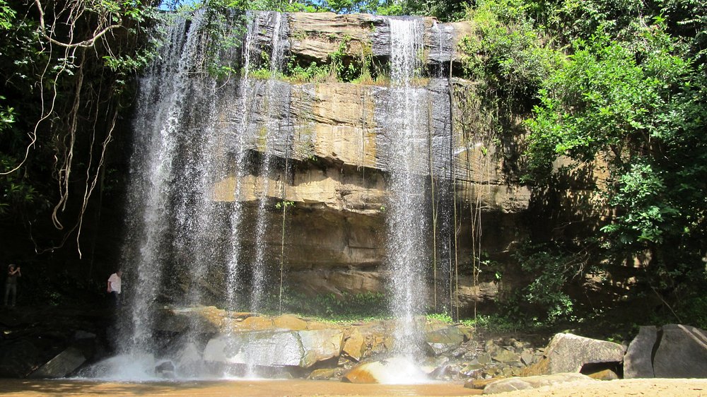 shedrick-water-fall-shimba-hills-coast-forest