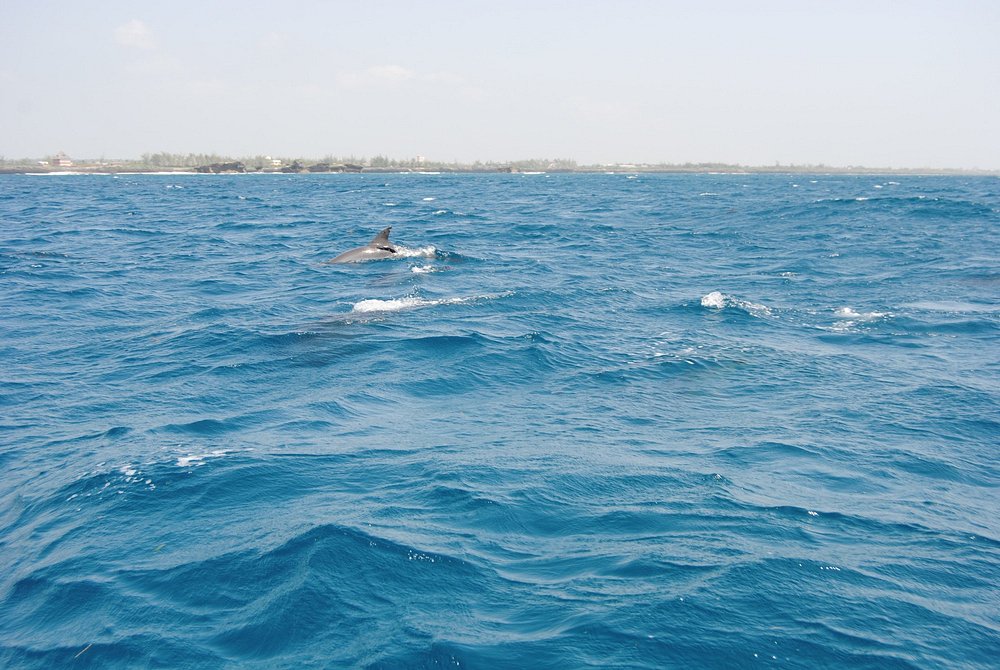 watamu-safari-blu-07