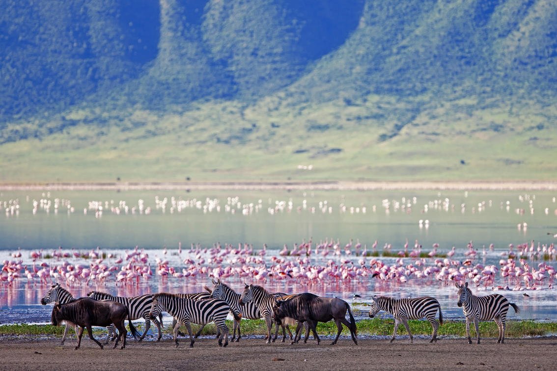 Ngorongoro