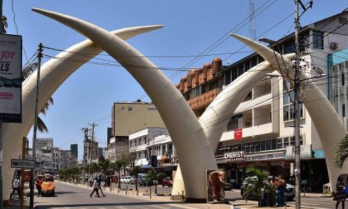 1620px-Mombasa_tusks_2025_08