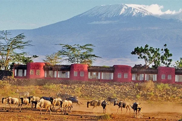 Amboseli-Serena-Safari-Lodge-Amboseli-National-Park-qk1h8j3ccb9wecf3kbc4n00c1y9y0s0h5g8txcwz9w