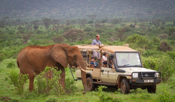 Elephant-Bedroom-Camp-Samburu-45-.jpg