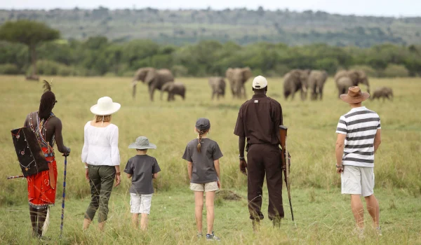 Kenya-Family-safari-tours-Kichwa-Tembo-Masai-Mara.webp