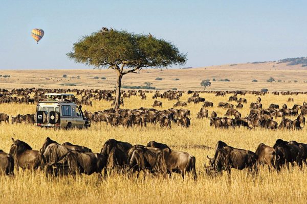 Masai-Mara-Kenya-best-Kenya-wildlife-wildebeest-Migration-safari-tour.jpg