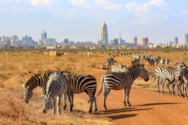 Nairobi National park