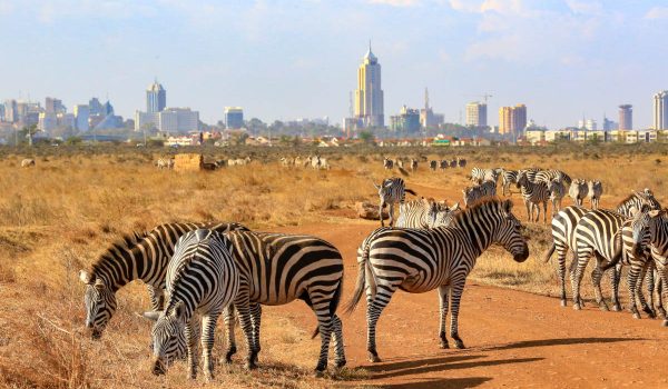 Nairobi-National-park-excursion.jpg