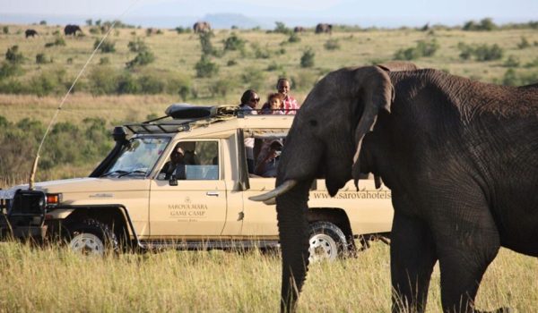 Sarova-Mara-Game-camp.jpg