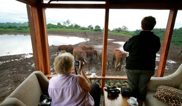 The-Ark-Lodge-the-best-safari-lodges-in-Kenya-scaled.jpg