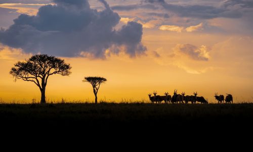 discover-kenya-safari-vacation