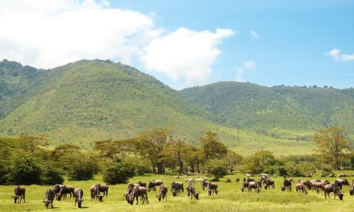 pexels-maasai-magic-3752887-5574091