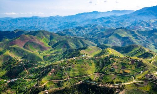 pexels-rwanda-lens-2151341471-31835038