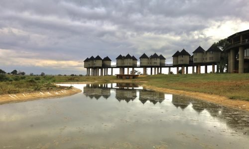 saltlick-lodge-kenya-safari-rfz61hqvhjo3qfewzqezqenhbw6f2krao8igdpyym0