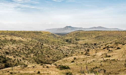 samburu-wilderness-kenya-northen-safari